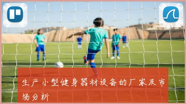 生产小型健身器材设备的厂家及市场分析