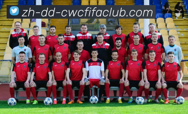 世界杯竞猜平台生态图