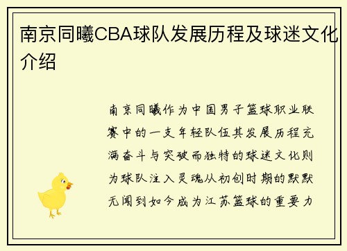 南京同曦CBA球队发展历程及球迷文化介绍