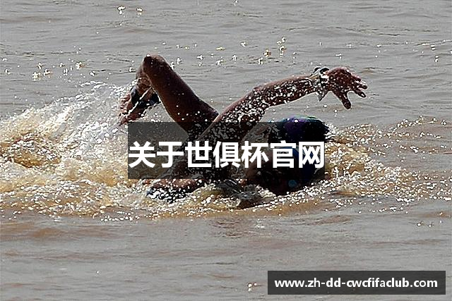 关于世俱杯官网